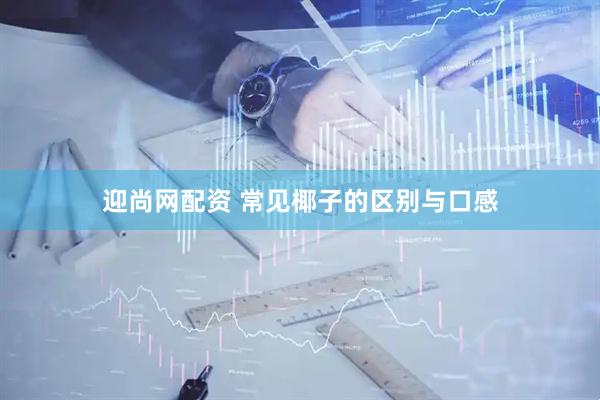 迎尚网配资 常见椰子的区别与口感
