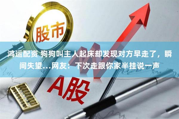 鸿运配资 狗狗叫主人起床却发现对方早走了，瞬间失望…网友：下次走跟你家半挂说一声