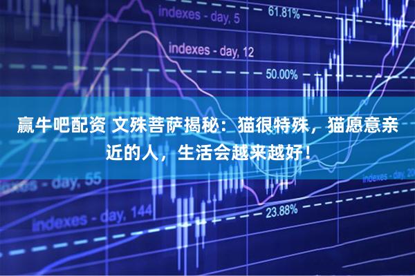 赢牛吧配资 文殊菩萨揭秘:猫很特殊,猫愿意亲近的人,生活会越来越好!